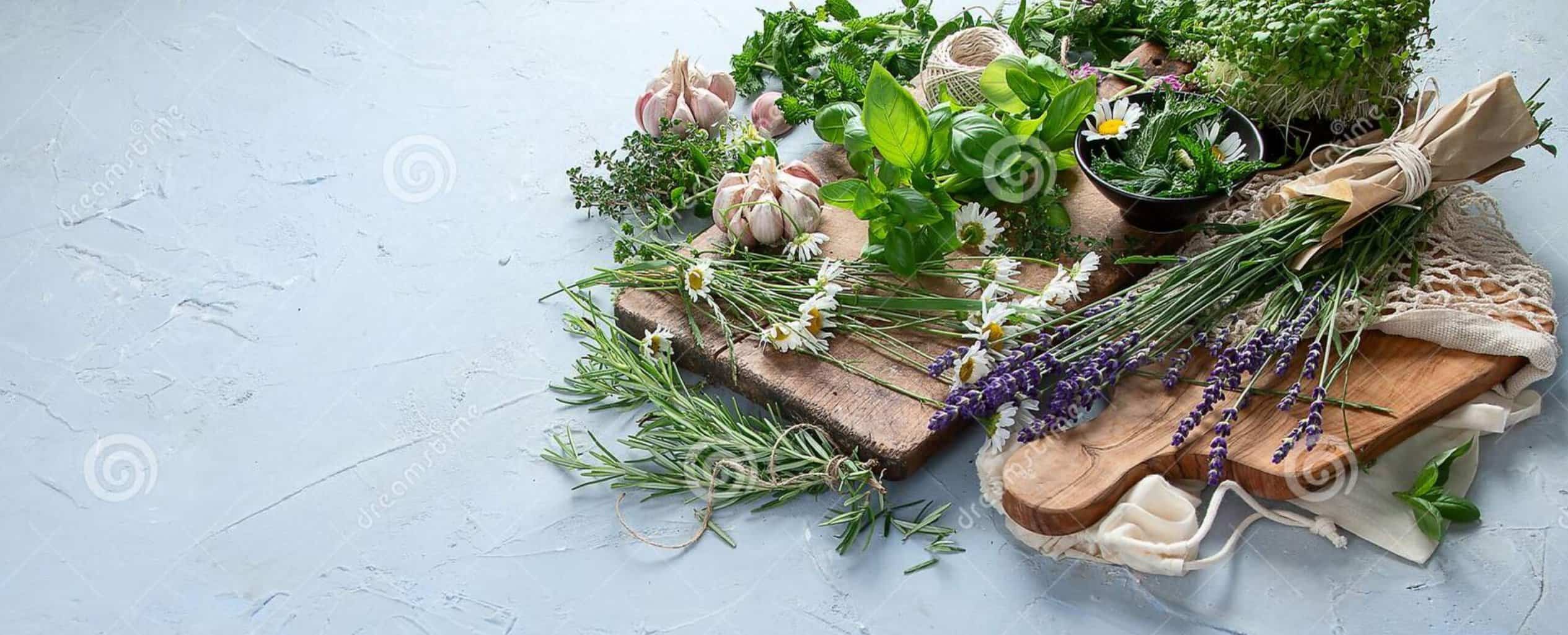 Kitchen Garden Header