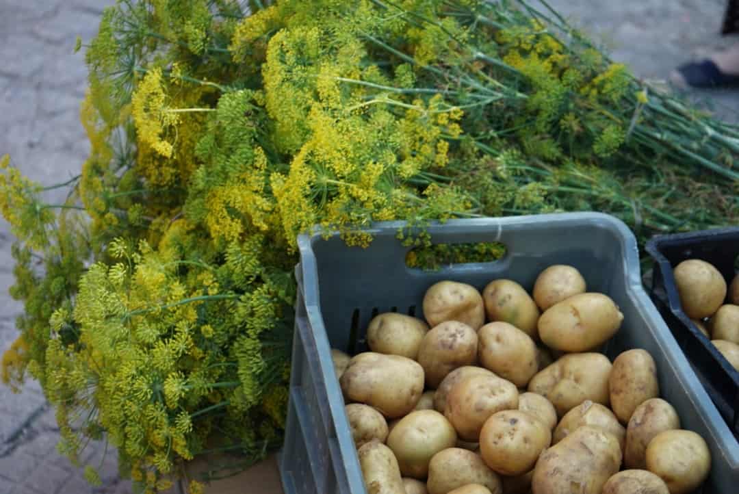 A couple of bins filled with potatoes next to a bush