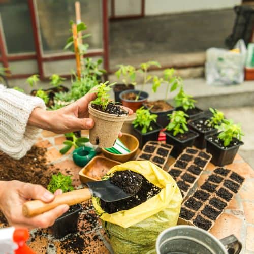 Grow Guides